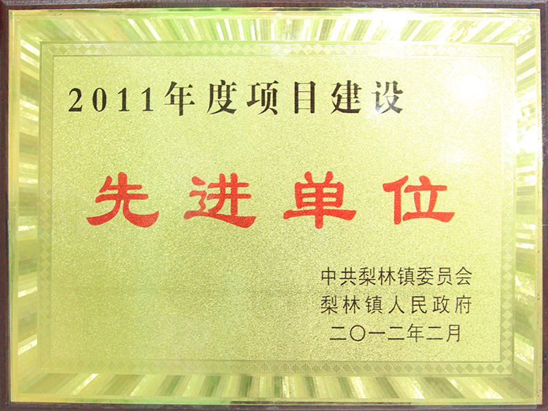 2011年项目建设先进单位