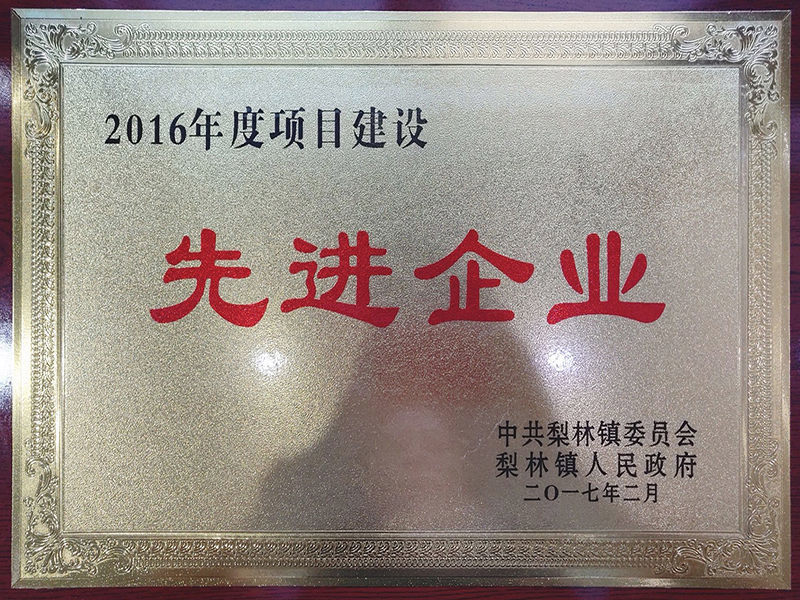 2016年度项目建设先进企业